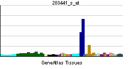 PBB GE CDH2 203441 s at tn.png
