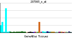 PBB GE CSF2RA 207085 x at tn.png