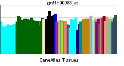 PBB GE RP1 gnf1h00088 at tn.png