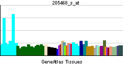 PBB GE IRF5 205468 s at tn.png