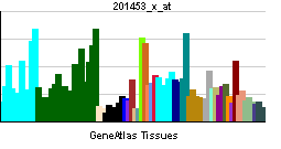 PBB GE RHEB 201453 x at tn.png