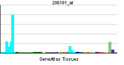 PBB GE SLAMF1 206181 at tn.png