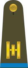 Mexican Military Capitan-segundo.gif