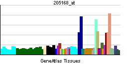 PBB GE DDR2 205168 at tn.png