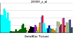PBB GE B2M 201891 s at tn.png