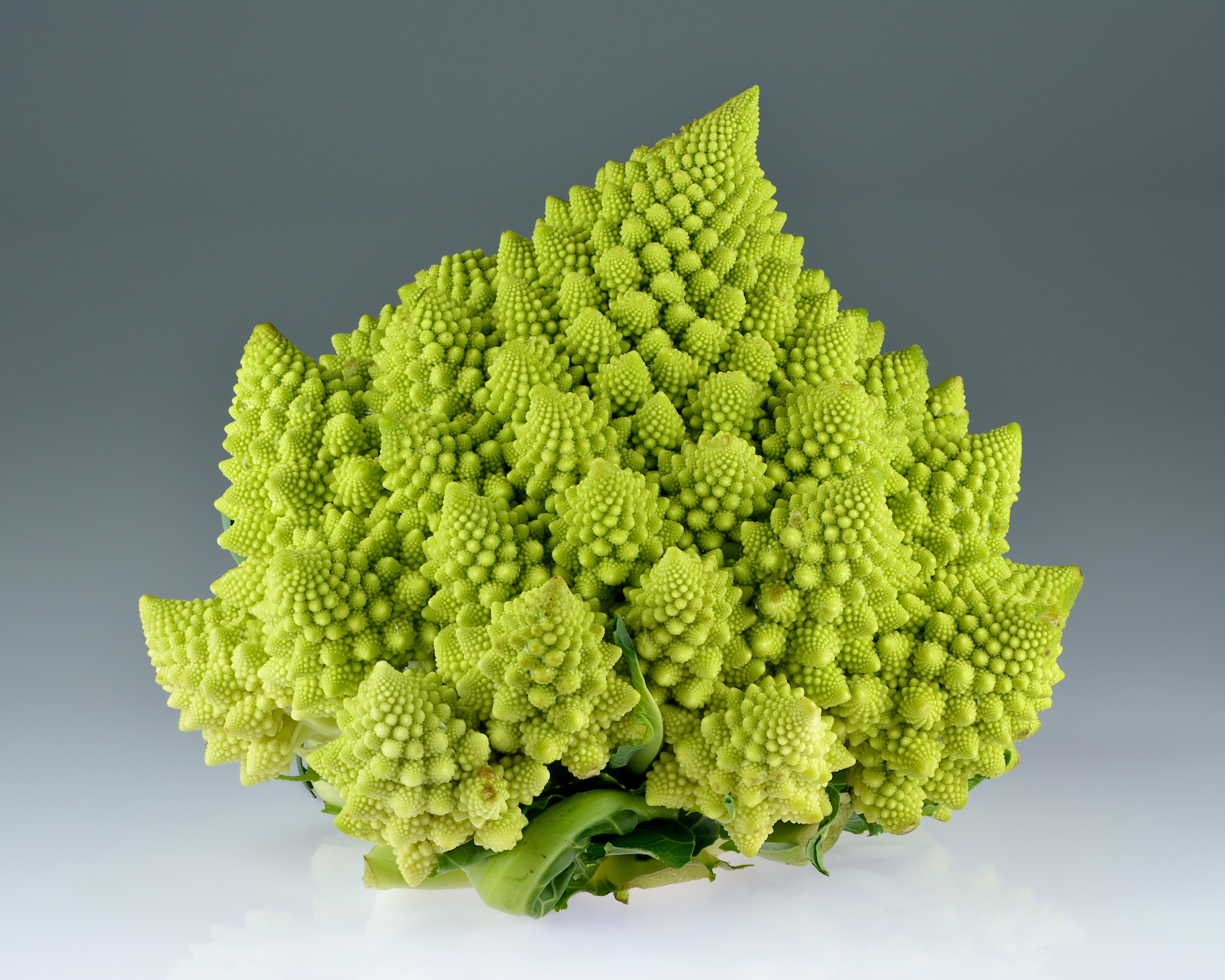 Romanesco_broccoli_%28Brassica_oleracea%29.jpg