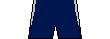 Kit shorts tottenham2526h.png