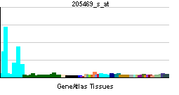 PBB GE IRF5 205469 s at tn.png