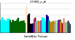 PBB GE MPL 211903 s at tn.png