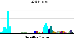 PBB GE NPM1 221691 x at tn.png