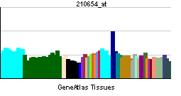 PBB GE TNFRSF10D 210654 at tn.png