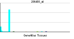 PBB GE ITGA2B 206493 at tn.png