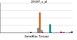 PBB GE SDC1 201287 s at tn.png