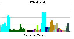 PBB GE SMC3 209259 s at tn.png