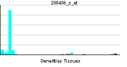 PBB GE IRF7 208436 s at tn.png