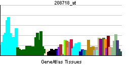 PBB GE DDX17 208718 at tn.png