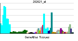 PBB GE IRF3 202621 at tn.png