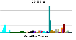 PBB GE ITGA6 201656 at tn.png