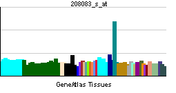 PBB GE ITGB6 208083 s at tn.png