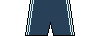 Kit shorts leicester2122a.png