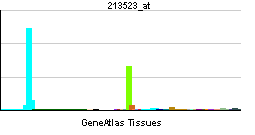 PBB GE CCNE1 213523 at tn.png