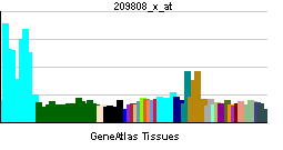 PBB GE ING1 209808 x at tn.png