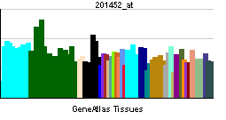 PBB GE RHEB 201452 at tn.png