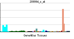 PBB GE ABCB1 209994 s at tn.png