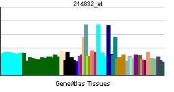 PBB GE HNF4A 214832 at tn.png