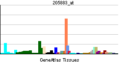 PBB GE ZBTB16 205883 at tn.png