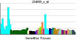 PBB GE SAP30 204899 s at tn.png