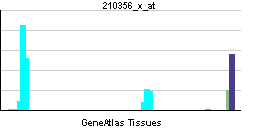 PBB GE MS4A1 210356 x at tn.png