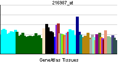PBB GE IRF4 216987 at tn.png