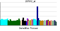 PBB GE MMP16 207012 at tn.png
