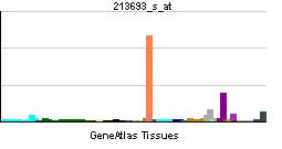 PBB GE MUC1 213693 s at tn.png