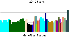 PBB GE HNF4A 208429 x at tn.png