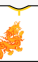 Форма