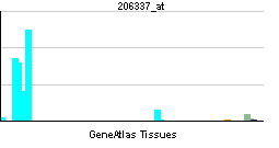 PBB GE CCR7 206337 at tn.png