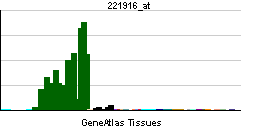 PBB GE NEFL 221916 at tn.png