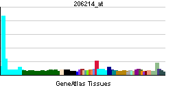 PBB GE PLA2G7 206214 at tn.png