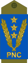 Congo-kinshasa-police 17.gif