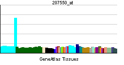 PBB GE MPL 207550 at tn.png