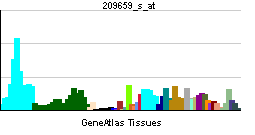 PBB GE CDC16 209659 s at tn.png