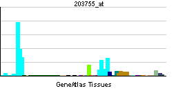PBB GE BUB1B 203755 at tn.png