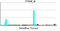 PBB GE CD40 215346 at tn.png