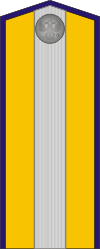 White Army OR-8 - Kuren Regiment (Taras Shevchenko) 1918-1919.png