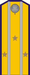 White Army OF-4 - Kuren Regiment (Taras Shevchenko) 1918-1919.png