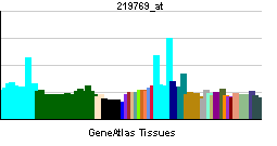 PBB GE INCENP 219769 at tn.png