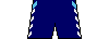 Kit shorts ibv18a.png