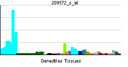 PBB GE EED 209572 s at tn.png